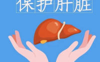 活性肽保护肝功能吗,活性肽对肝脏修复的作用.