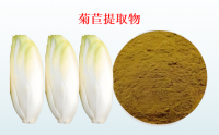 菊苣提取物对改善血脂状况作用,菊苣提取物对高血脂有作用吗？
