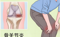 夏季不治骨，冬季冷风苦
