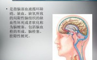 脑梗塞的怎么引起的？吃小分子肽可以预治脑梗塞吗？