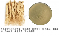 人参皂苷的主要作用，人参皂苷对身体有什么好处?