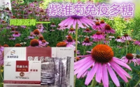 双青效果怎么样,多少钱一盒