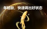 国药肽谷人参肽多少钱一盒？国药肽谷人参的作用