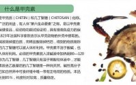 几丁聚糖甲壳素是什么？​几丁聚糖对疾病的预防和保健作用功能！