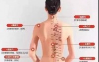 经络疏通的重要性-----人体的十四经络
