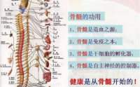 我给两位患有骨髓炎的朋友服用补骨髓的食品效果反馈良好