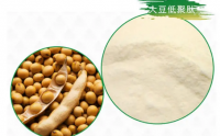 小分子大豆肽与预防肥胖