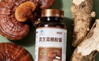 灵芝葛根胶囊的功效,灵芝葛根胶囊能改善肝功能吗?