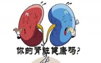 慢性肾脏疾病有什么症状？干细胞疗法与治疗肾病作用！