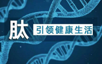   深度剖析小分子肽那些不为人知的特点