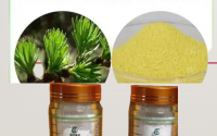 二氢槲皮素能治什么病,二氢槲皮素能长期服用吗?