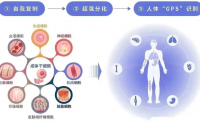 髓疗法与骨髓干细胞激活？骨髓干细胞疗法全面介绍