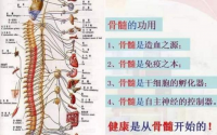 补骨髓产品是怎么提高人体自愈功能的