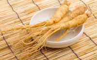 痛风病人可以适当吃白参和西洋参一般禁食红参