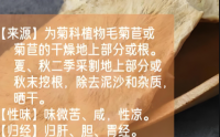 菊苣药用功效,菊苣降酸效果好吗？