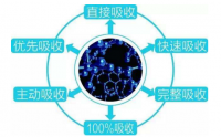 小分子肽与肠胃等常见慢性疾病