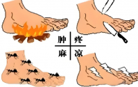 活性多糖与活性多肽对糖尿病并发症的预防作用