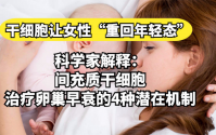 骨髓干细胞与卵巢早衰