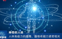 小分子肽与免疫力，免疫力低下喝小分子肽好吗