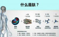 什么是功能肽？功能肽的优越性！