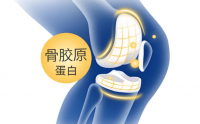 服用小分子活性肽对股骨头坏死好吗？
