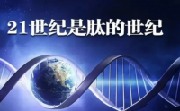 小分子肽对健康的影响