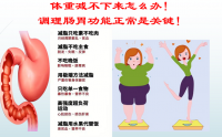 活性肽对肠胃调理的功能,活性肽对减肥有效果吗?