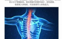 牛骨髓肽的作用和功效，牛骨髓肽适合什么人吃？