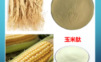 人参玉米肽粉有哪些功能,人参玉米肽粉能长期吃吗？
