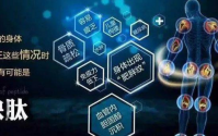 复合小分子肽与亚健康