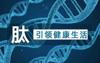 大家都在吃肽，小分子活性肽对我们人体系统有什么关系呢？