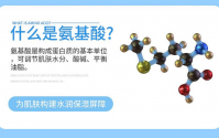 氨基酸和小分子肽到底对人体有什么营养作用？
