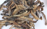 地龙蛋白肽作用与功能作用介绍，哪些人适合用地龙蛋白肽？