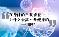 干细胞适合哪些人？干细胞治疗肝硬化效果好吗