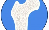 骨骼健康为什么要选牛骨髓肽？骨胶原蛋白真有这么多好处吗？