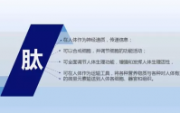 正常人需要补肽吗？小分子肽有什么副作用