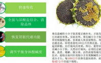 葵花盘小分子肽与痛风的关系