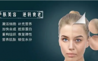 小分子活性肽与细胞抗衰老