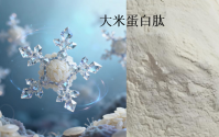 大米蛋白肽的主要作用,大米蛋白肽对人体的好处.