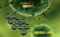 什么是植物性干细胞（人体）激活素？