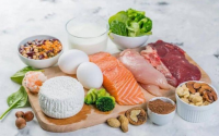 蛋白质营养与健康和快速补充蛋白质