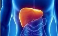肝不好的症状表现，如何养肝护肝？