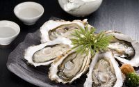 牡蛎的功效与作用有哪些?怎么吃牡蛎才能补肾壮阳?
