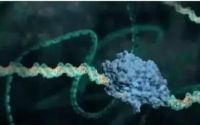 因发现肽对基因修复作用而获诺贝尔奖的科学家