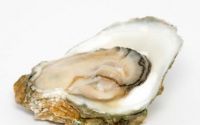 牡蛎肽对男性的作用，男性吃牡蛎肽好处多多！