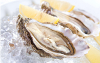  牡蛎肽功能与作用及牡蛎肽适合哪些人吃