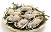 牡蛎肽不是药为什么能改善亚健康