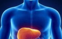 肽真能能保护肝脏吗？小分子肽与肝脏的作用！