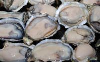 男性功能减退可以吃牡蛎肽吗？牡蛎肽到底有什么功能？