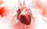 心血管疾病怎么治疗比较好？干细胞与心血管疾病的应用！